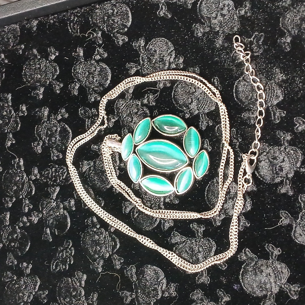 New Paparazzi Green Pendant/silver tone long chain NWT